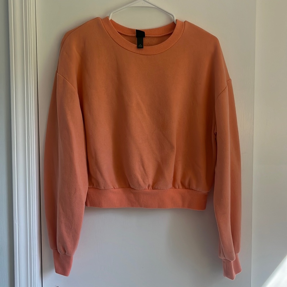 Wild Fable Coral Crewneck